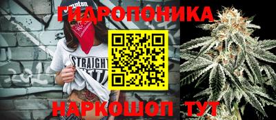 mdpv Мариинск