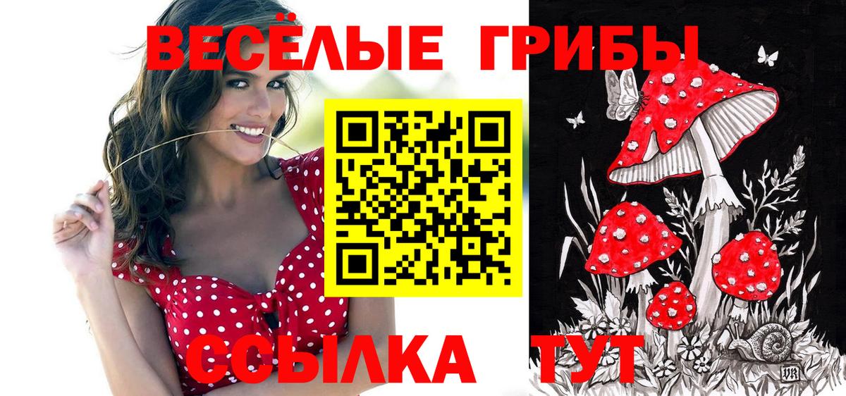 Галлюциногенные грибы ЛСД Строитель