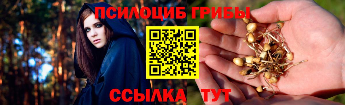 Строитель  Псилоцибиновые грибы прущие грибы  Псилоцибиновые грибы ЛСД  Вход с VPN 